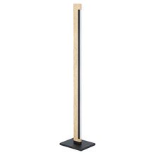  99296A - Camacho LED Floor Lamp