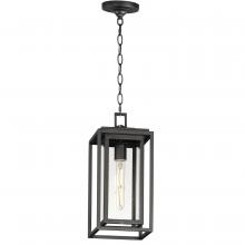  3039CDBK - Cabana-Outdoor Pendant