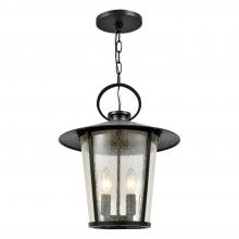  AND-9204-SD-MK - Andover 4 Light Matte Black Outdoor Pendant