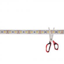 Dainolite Canada CUTLED-OD35 - Requires 24V DC Driver. Size of Driver Depends on Length of Tape