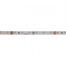 Dainolite Canada DLT-4827 - IP33 4.8W/M-2700K 24V DC,5M 8mm 60LED/M