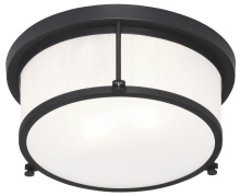 Matteo M14902MB - Caisse Claire Matte Black Ceiling Mount