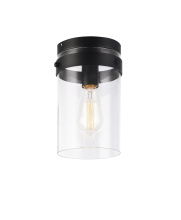 Matteo X78401BK - Zale Black Ceiling Mount
