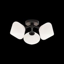 Matteo X81743BKOP - Novo Black Ceiling Mount