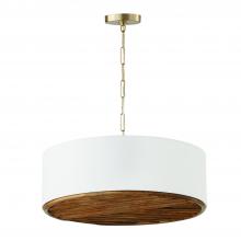  347441MA - 4 Light Pendant