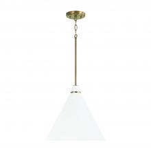  350112AW - 1 Light Pendant