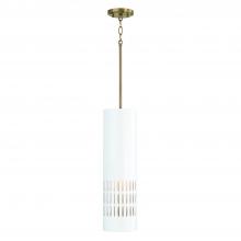  350211AW - 1 Light Pendant