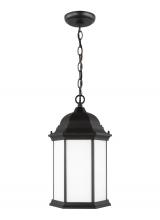Generation Lighting  6238751-12 - Sevier One Light Outdoor Pendant