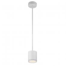  PD-W2605-WT - TUBE Outdoor Pendant Light