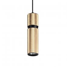 Avenue  HF1075-BBK - Cicada 1 Light Pentant Knurled Brass With Black