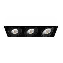  TE613LED-30-2-01 - MuLT, 15w, Trmls, 3LT , 30k, Blk