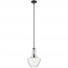  42141BK - Pendant 1Lt