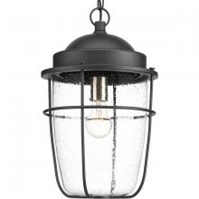  P550025-031 - P550025-031 1-100W MED HANGING LANTERN