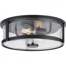 Progress Canada P350253-31M - P350253-31M 2-L FLUSHMT