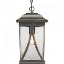  P550040-020 - P550040-020 1-100W MED HANGING LANTERN