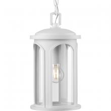  P550050-028 - P550050-028 1-75W MED HANGING LANTERN