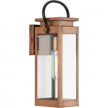  P560004-169 - P560004-169 1-L WALL LANTERN