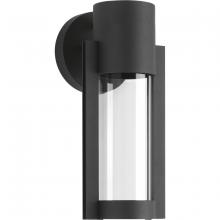  P560051-031-30 - P560051-031-30 1-9W LED WALL LANTERN