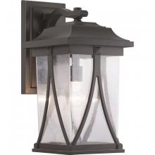  P560115-020 - P560115-020 1-100W LARGE WALL LANTERN