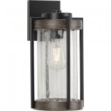  P560282-31M - P560282-31M 1-60W MED WALL LANTERN