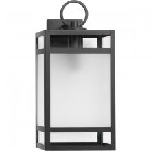  P560343-31M - P560343-31M 1-L WALL LANTERN