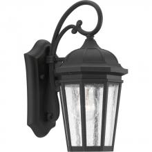  P560014-031 - P560014-031 1-100W MED WALL LANTERN