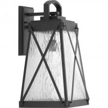  P560033-031 - P560033-031 1-100W MED WALL LANTERN