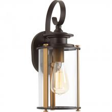  P560036-020 - P560036-020 1-100W MED WALL LANTERN