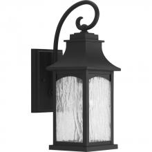  P5753-31 - P5753-31 1-100W MED WALL LANTERN