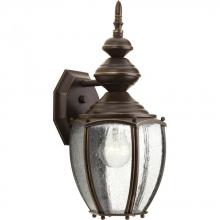  P5765-20 - P5765-20 1-100W-MED WALL LANTERN