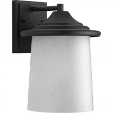  P6060-31 - P6060-31 1-100W MED WALL LANTERN