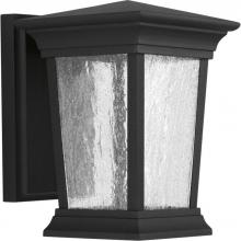  P6067-3130K9 - P6067-3130K9 1-9W  LED WALL LANTERN