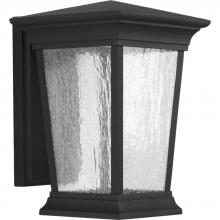  P6068-3130K9 - P6068-3130K9 1-9W  LED WALL LANTERN