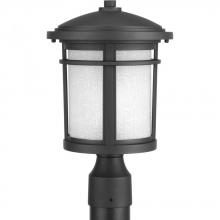  P6424-31 - P6424-31 1-100W MED POST LANTERN