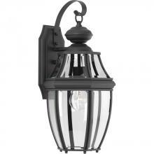  P6611-31 - P6611-31 1-100W CAND WALL LANTERN