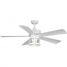  P250011-028-WB - P250011-028-WB 56 IN 5 BLADE FAN