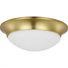 Progress Canada P350147-012 - P350147-012 2-60W MED FLUSH MOUNT