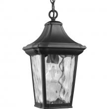  P550062-031 - P550062-031 1-75W MED HANGING LANTERN