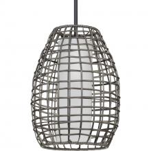  P550083-031 - P550083-031 1-100W MED OUTDOOR PENDANT