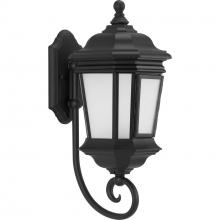  P6631-31MD - P6631-31MD 1-100W MED WALL LANTERN