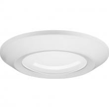  P810012-028-30 - P810012-028-30 FLUSH MOUNT