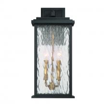 Artcraft Canada AC9272BK - Estate 2 Light Outdoor Wall Sconce 19", Black, Brass with Rain Glassware