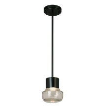Elgo 204448A - 1 LT Integrated LED Indoor/Outdoor Mini Pendant w/ Black Finish & Clear Glass