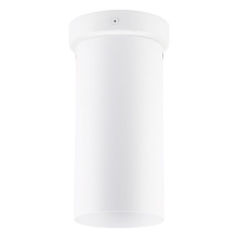 Elgo 204899A - 1 LT Ceiling Light w/ White Finish