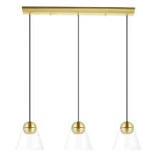 Elgo 99629A - 3 LT Linear Pendant w/ a Brushed Brass Finish & Clear Cone Glass Shades