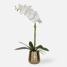  60189 - Uttermost Cami Orchid With Brass Pot