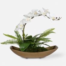  60207 - Transcend Orchid Centerpiece