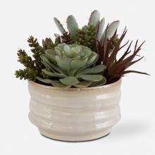  60209 - Mesa Succulent Accent