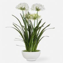  60221 - Purity Agapanthus Centerpiece